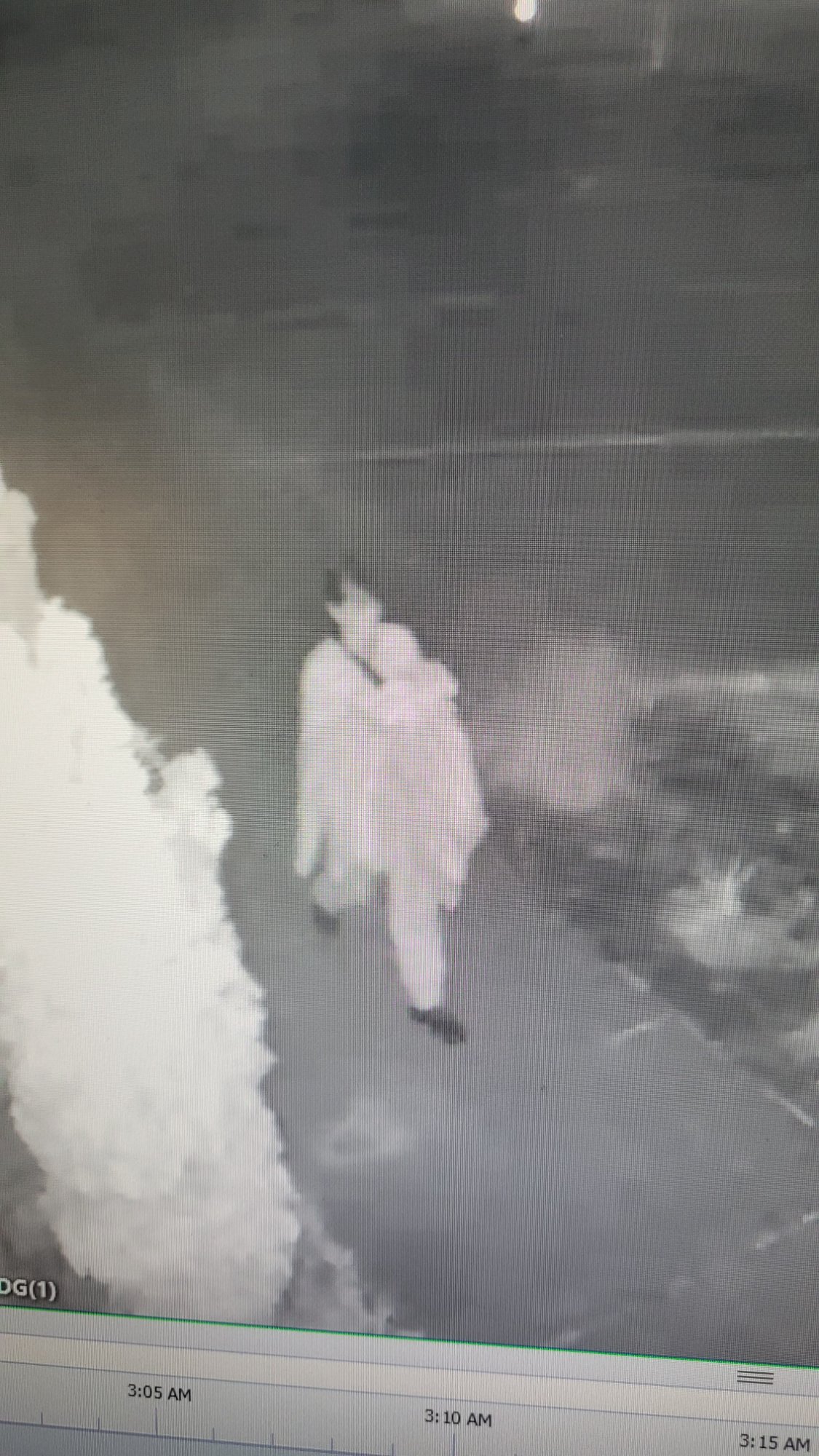 Surveillance still — Violet Benjamin — 3:05 AM