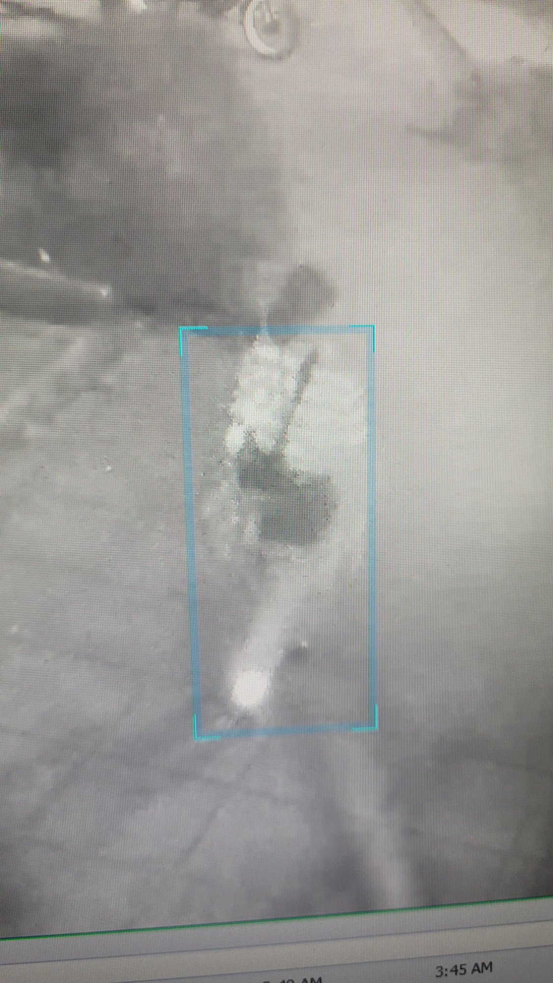 Surveillance still — motion detection — 3:45 AM